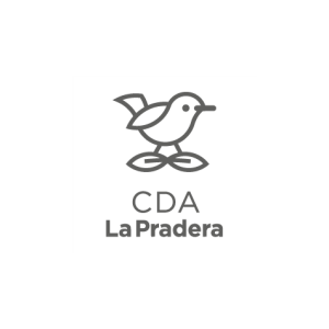 iconos - aliados antifragil_ALIADO 8